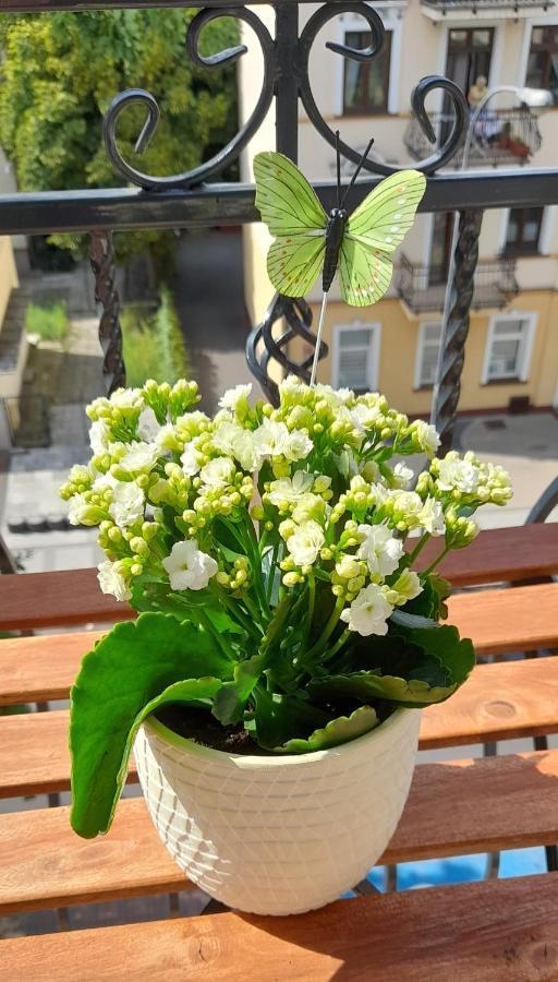 Apartament Black Sea 2 Rooms - Pokoje 斯维诺乌伊希切 外观 照片