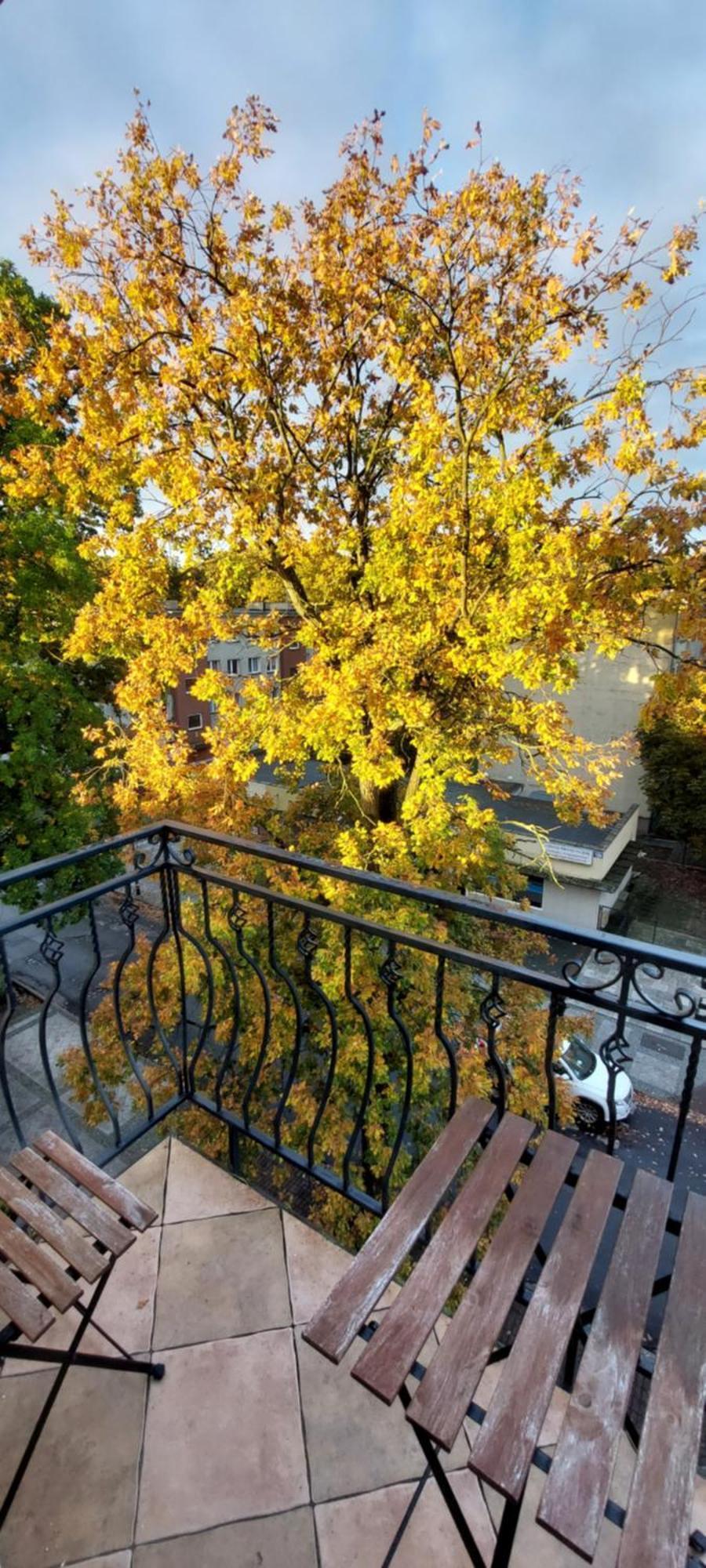 Apartament Black Sea 2 Rooms - Pokoje 斯维诺乌伊希切 外观 照片